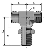 HDBBT_2