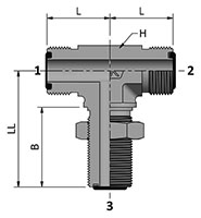 HDBBT with Ends