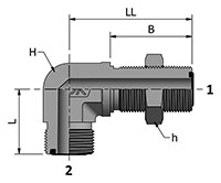 HDBL with Ends