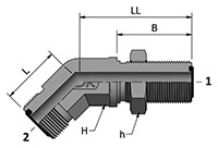 HDBLB with Ends