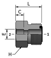 HDCF-MSW with Ends_2