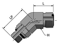 HDLBM-MPH_2