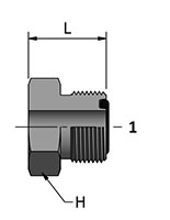 HDP with Ends_2