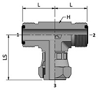 HDSBT with Ends_2