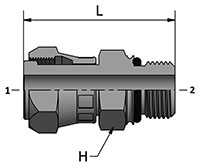 HDSMC-MO with Ends_2