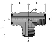 HDT with Ends