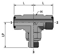 HDTBM-GP with Ends