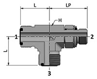 HDTRM-GP with Ends