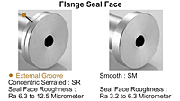 Flange Seal Face