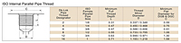 ISO Internal Parallel Pipe Thread