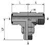 HDTBM-GP with Ends