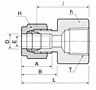 DCF-N Female Connector Tube Fittings-2