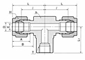 DTBF-N Female Branch Tee Tube Fittings-2