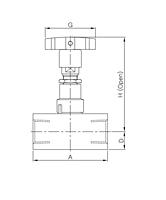 VG16 Needle Valves_Inline-Pattern