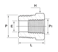 GHB Series Reducing Hex Bushing Fittings-2