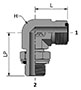 HDLM-MP with Ends