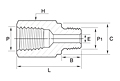 GADMF Series Adapter Fittings-2