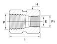 GCGR Series Hex Reducing Coupling Fittings-2