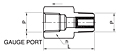 GS Series Snubber Fittings