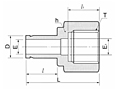 DAF-GG Female Gauge Adapter Tube Fittings-2