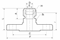 DF Flanges ANSI B16.5 Tube Fittings-2